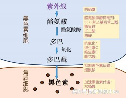  化学防晒：防晒霜不防晒黑？如果你涂了防晒还是变黑，那可能是做错了这2点