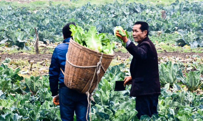  [改革]农民有福了：2019年农村土地回收改革，一亩拿30万补偿款