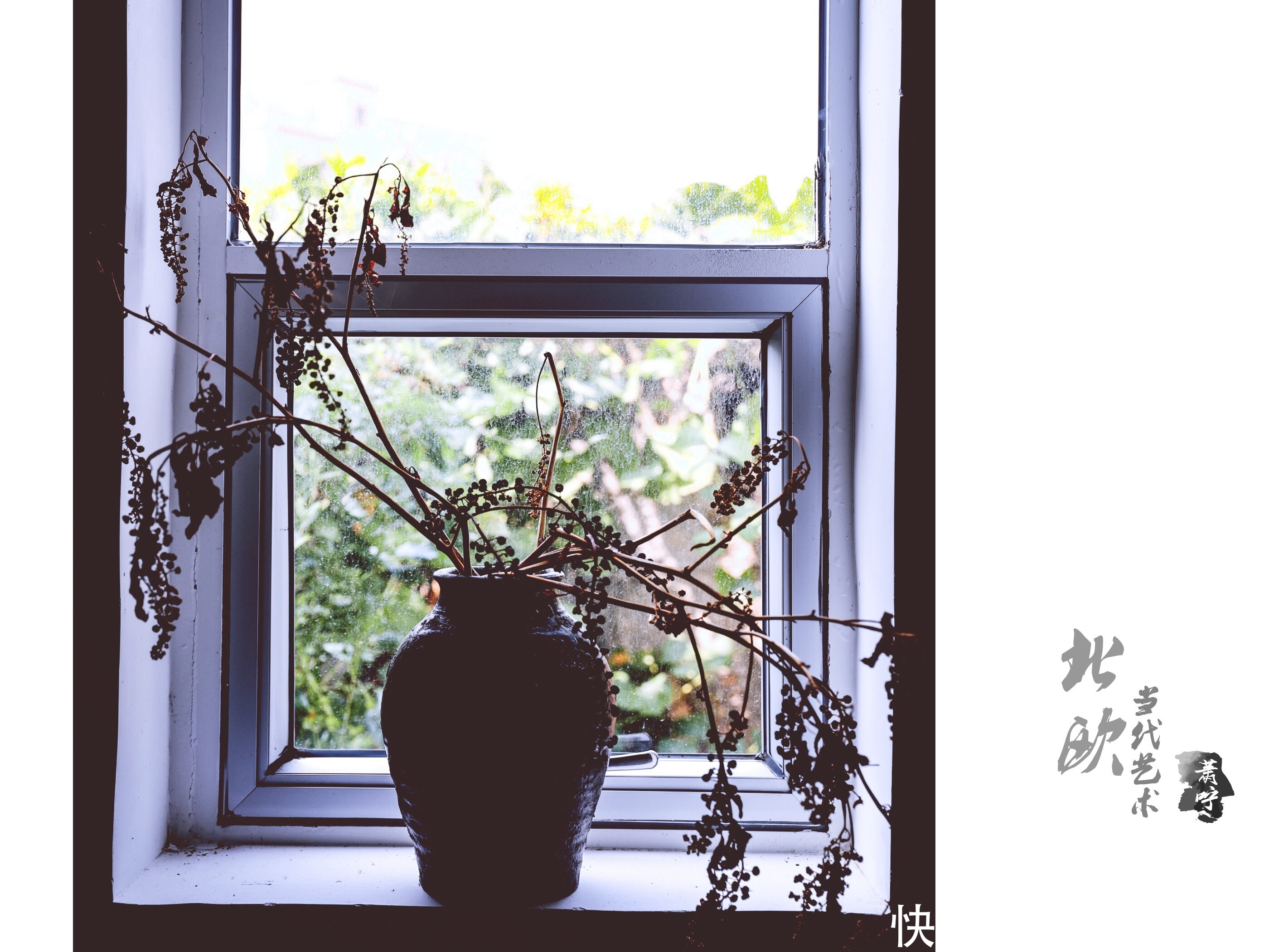 这条醉美海岸线，有90%的厦门人不知道