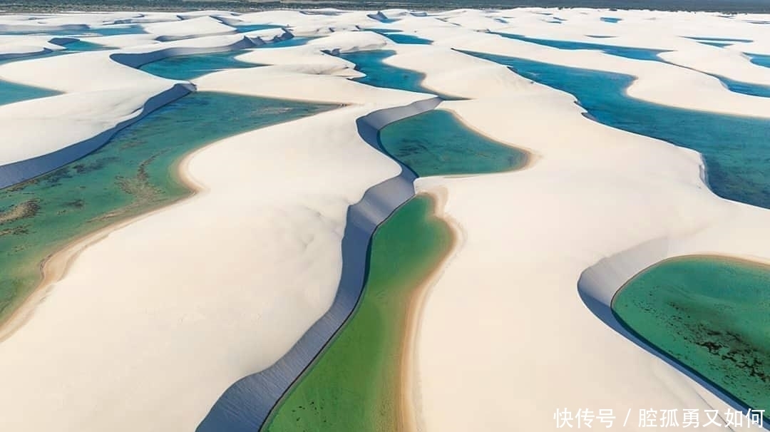 世界最特别的沙漠:境内不仅有干净的湖泊,还有鱼虾在游动