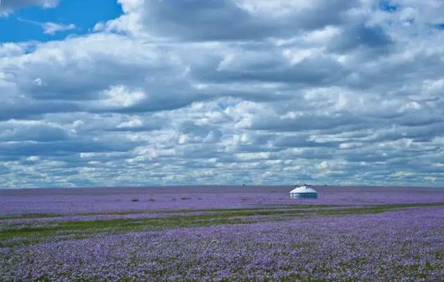 中国最美的30个地方（完整版）终于找齐了！第一居然是…