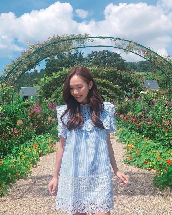 杨幂之后郑秀妍的发际线也掉线了？行走的发型教科书就这么凉凉了