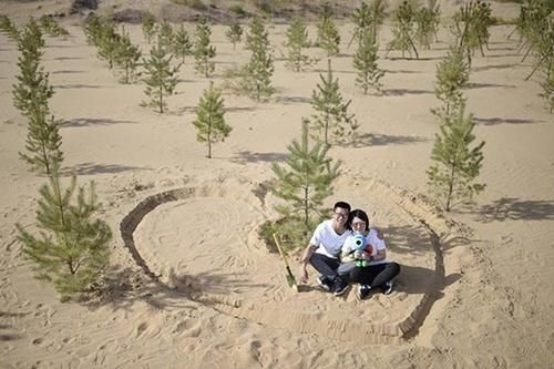  「噱头」马云的蚂蚁森林真改善了生态，还是商业噱头？梭梭树揭