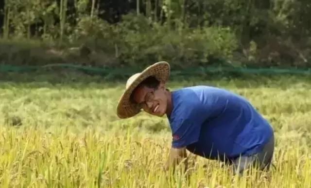 他在杭州打造了一个全中国最美的猪圈！纽约时报都报道了