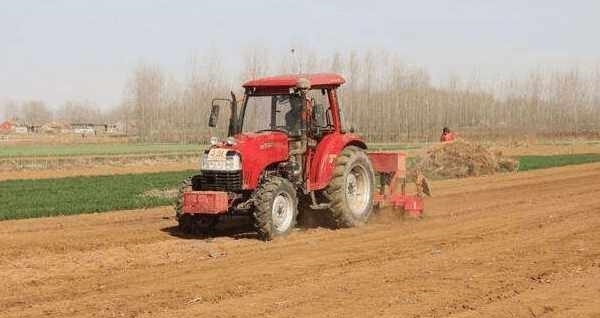 农村怪象，20多岁却一直没地种，去世20年还有地！专家：很合理！