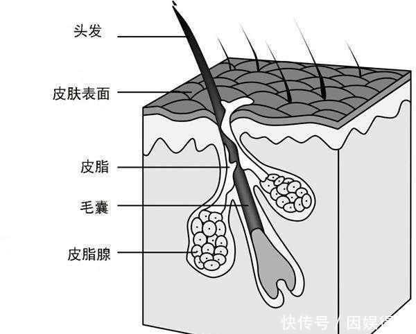  『用补水面膜』清洁面膜后：补水面膜VS毛孔收敛水哪个更好？实话告诉你：都没用