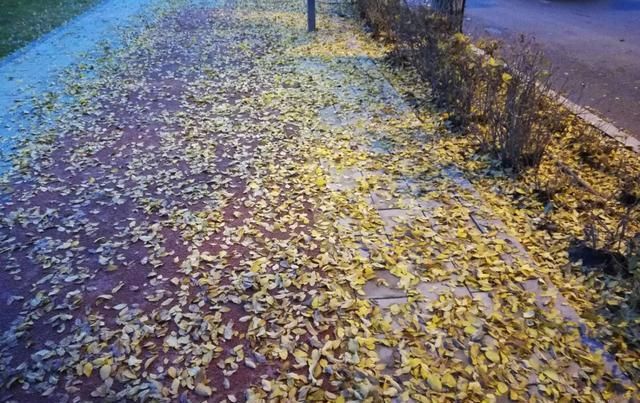 清晨，你看那美丽的背影