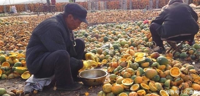  种植|亩产1500斤，却不能直接吃，如今35元1斤，农民跟风种植却