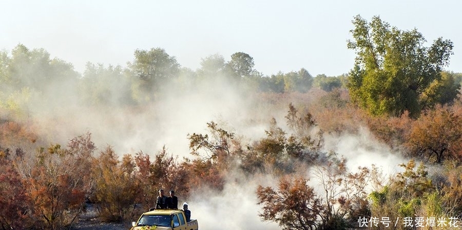  绿洲就■我国范围最大的村庄，面积相当于70个澳门，开车出村要