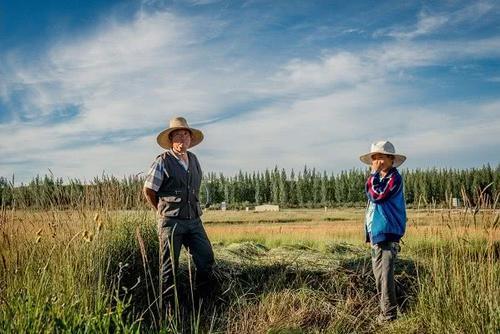  #2020年#距离2020年还有两个月，农村还有什么补贴可以领？专家