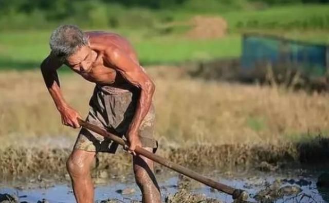  [找工作]今后5-10年里，这3类人可能要回到农村去，希望没有你