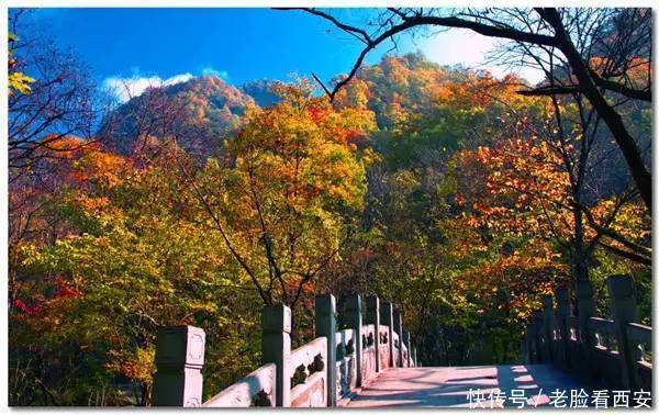 牛背梁 秋色迷人 你来与不来 它都是这么五彩斑斓