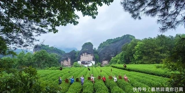 一座有着武夷山的城市，她有着怎样的美？