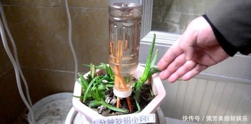 【让我们一起】瓶盖上戳2个洞插根筷子,这个作用太牛了,学会一年能省好几百