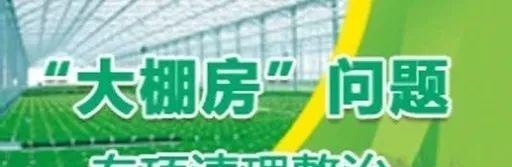 什么是大棚房？咋整治？