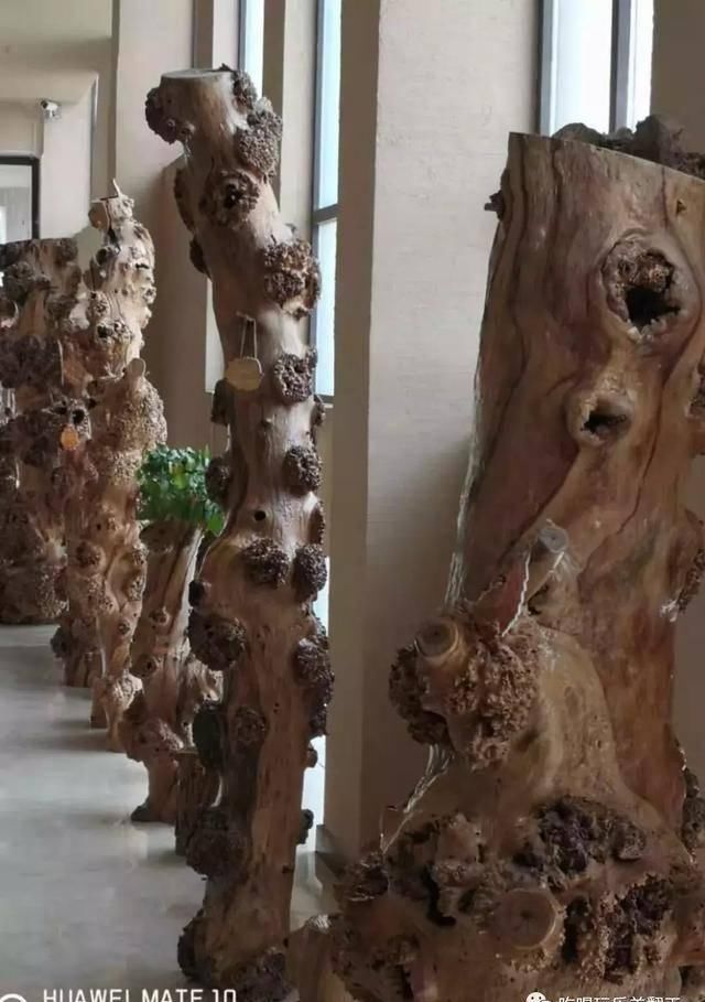 行走新疆 | 梦圆喀什