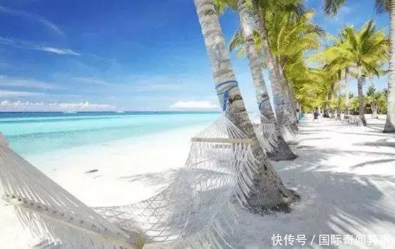 菲律宾可怕的“食人猴”，即将向“人类”进化！当地派出军队镇压