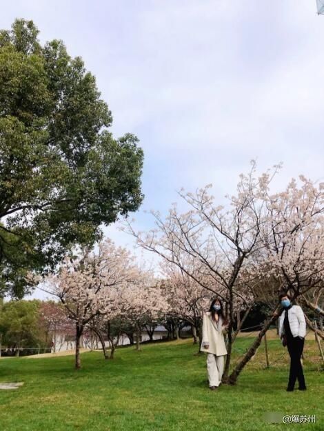  [眼中]还是那个熟悉的味道，那个熟悉的人，他们回来了#我眼中的春天#