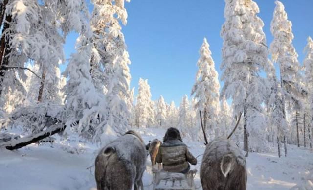 世界上最冷的村庄，平均温度常年保持零下30度，当地人都很长寿
