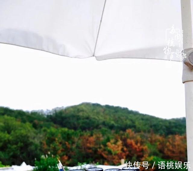  #喜欢#一粥一饭填饱肚子，一屋一花神仙日子！生命不止，玩趣不停！