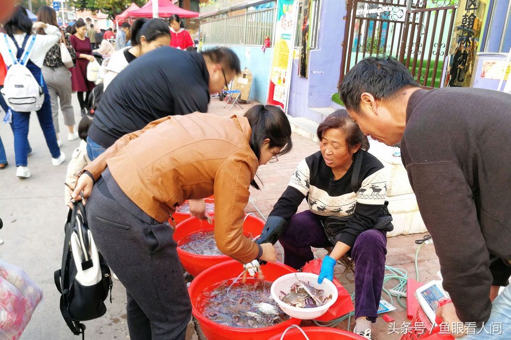 青岛普通顶盖肥梭子蟹30元一斤 本地个头小的最低15元 死蟹5元