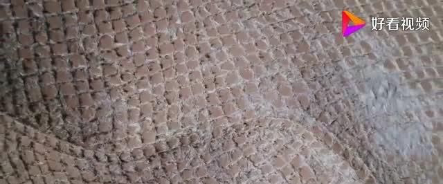 中国发明“吞沙巨兽”，一天能改变40亩沙漠，已在甘肃建设使用！