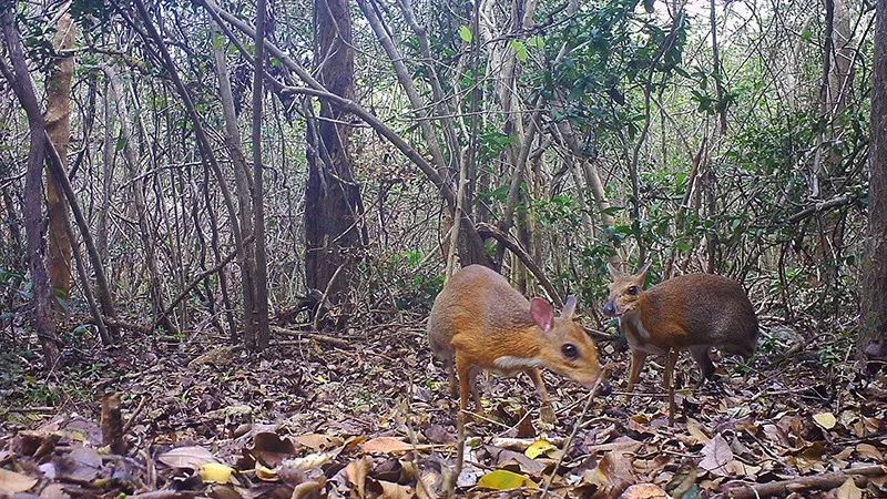 美快递员抛扔万元镜头包裹,2019荷兰自然会谈国际摄影奖揭晓