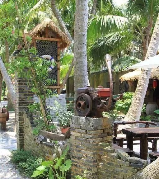  「小院」理想中的乡村小院