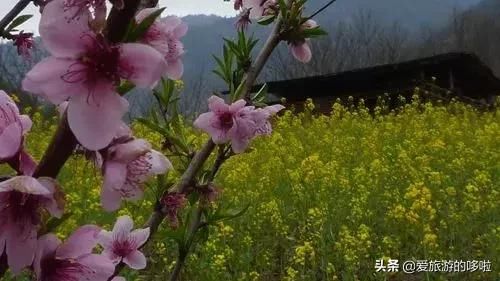 “人间仙境”丙中洛，一生一定要去一次