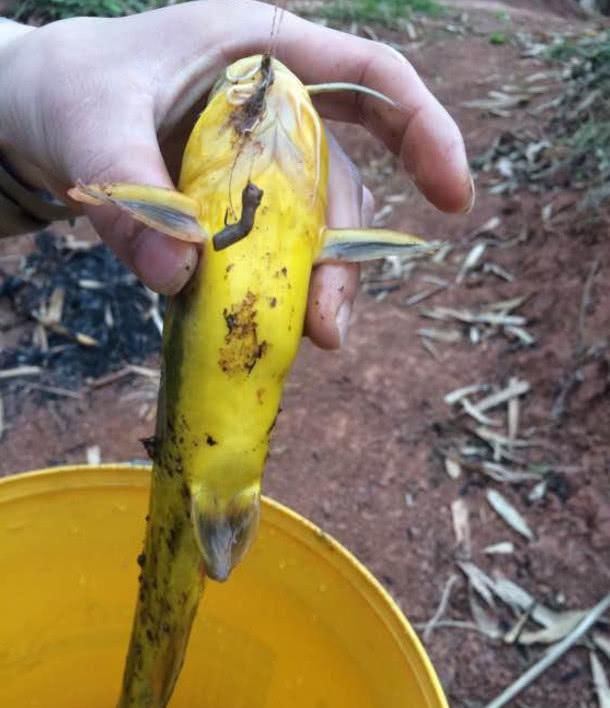  『鱼都钓不到』钓不到鱼就怪资源不好？之所以十钓九空，其实是这些原因造成的