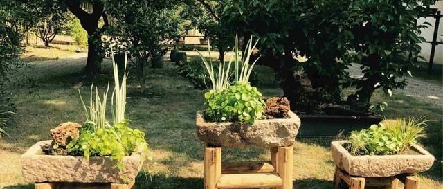  「庭院」农村这些消失的老物件，个个都是宝贝了！放在庭院里养