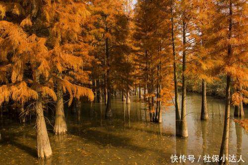  年满：工作年满30年，如果可以提前退休，你愿意吗？