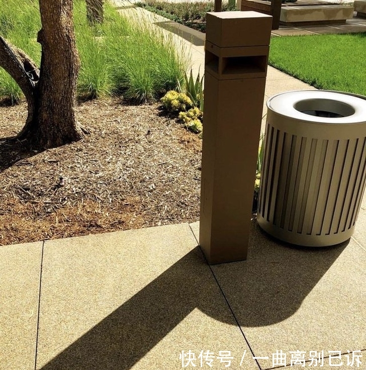 强迫症都挑不出毛病的26张照片  展现了真正的完美