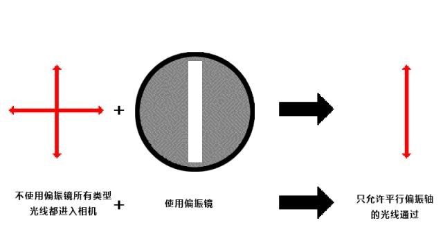 摄影师拍摄秋冬季节的色彩太惊艳，怎么做到的？原来使用这些技巧