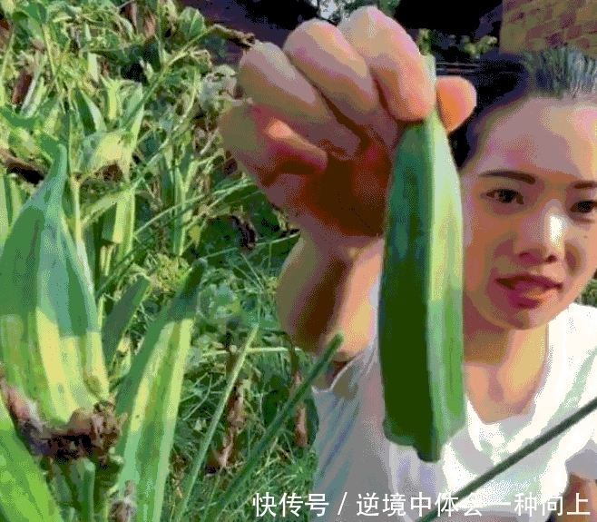 这种“辣椒”以前农村到处是，现10元一斤，农民种它年赚十几万