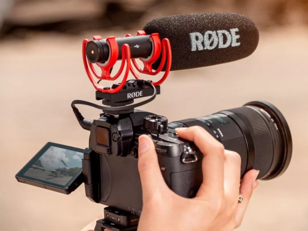 美快递员抛扔万元镜头包裹,2019荷兰自然会谈国际摄影奖揭晓