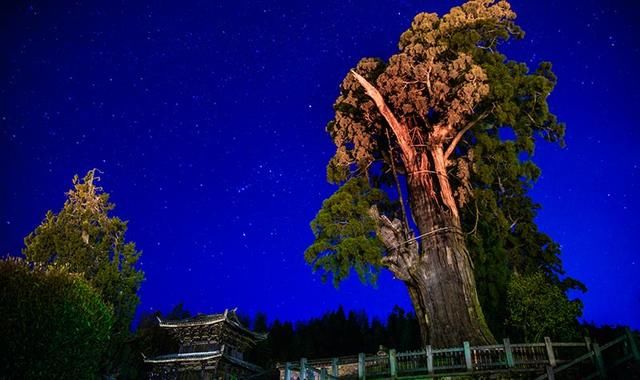 浙江面积最大的城市，藏着绝美古镇和山水美景，不是杭州宁波！