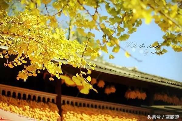 有一种心情，叫做突然想去云南！