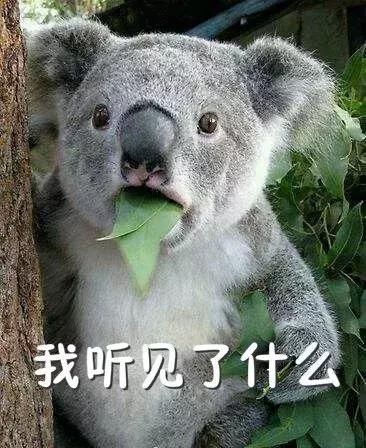 关于2月工资的四个重要消息！快来看