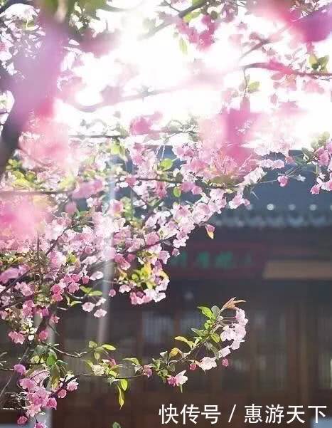 人间三月，桃红柳绿，杏花春雨，最美江南！