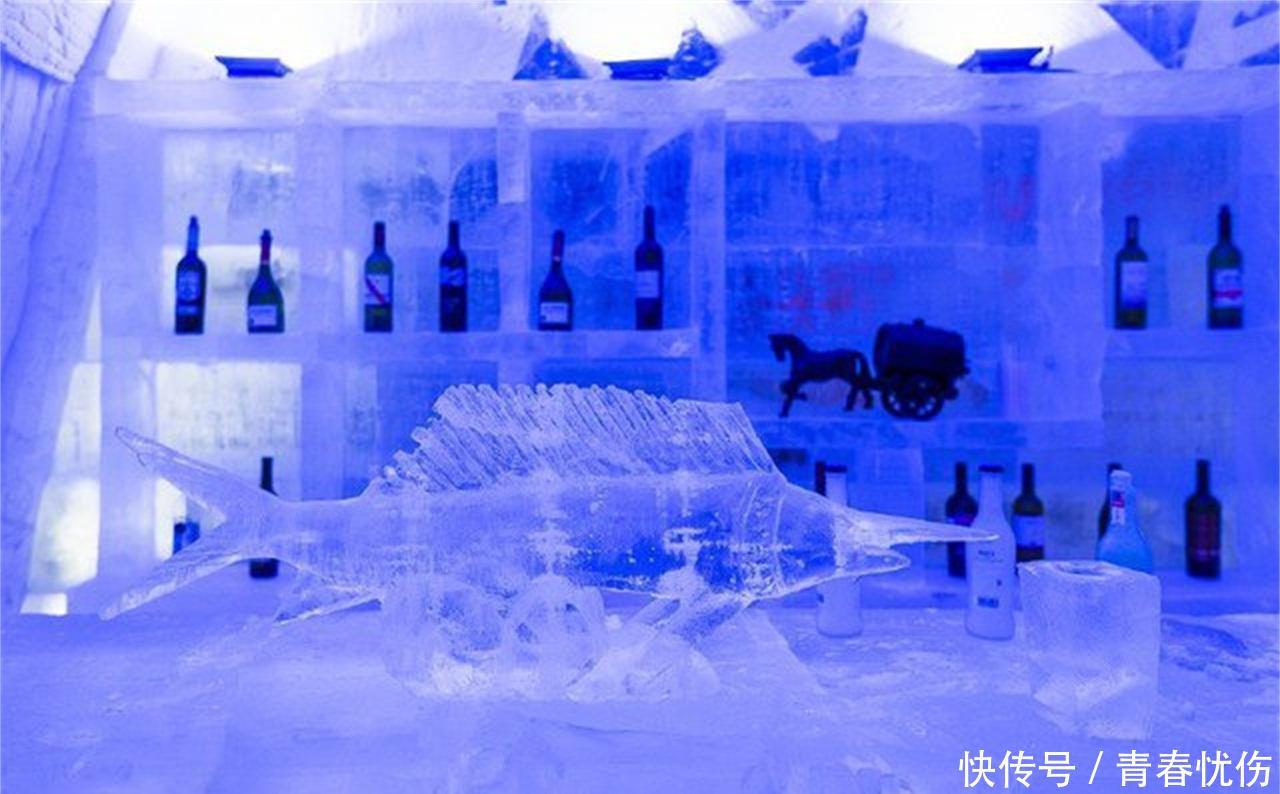 冰雪制成的酒店，现实版的“冰雪奇缘”，体验真实的“极寒”世界