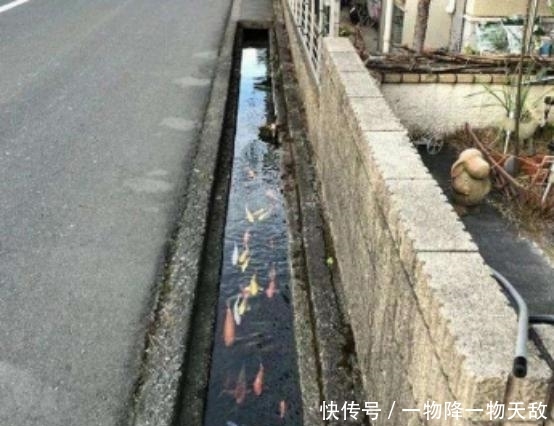 日本人到底有多爱干净?看看他们的下水道,简直丧心病狂!
