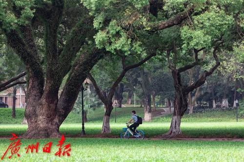  [外机]台风这次又成“空调外机”，广东将有37℃高温