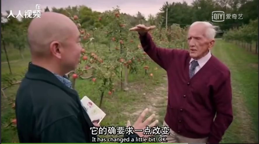 不吃肉就能瘦?BBC揭示健康饮食的真相，啪啪打脸无数网红