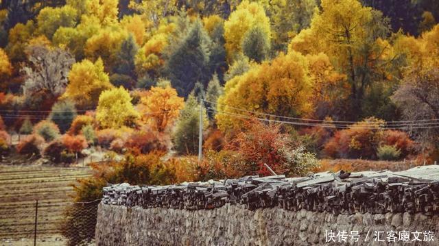 林芝的秋天，才是你最不该错过的天堂，有一百种秋色等你pick