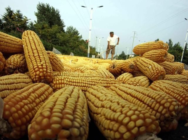  「取消」专家建议取消新农保，每月下发1000元退休金，并额外征