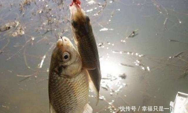 『钓点』野钓时小鲫鱼闹窝太厉害,用这几招,中钩的都是大鲫鱼