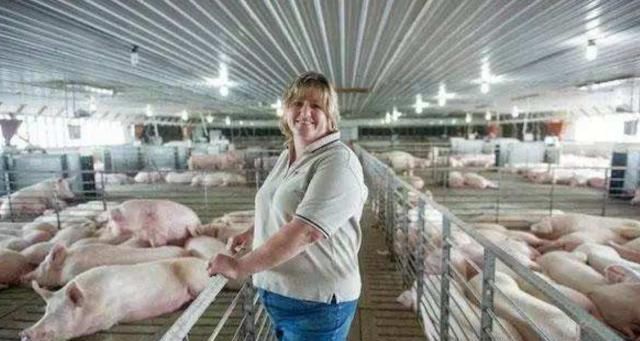  养猪：美国为何能成为养猪第一大国？看看人家的猪粪处理，一切