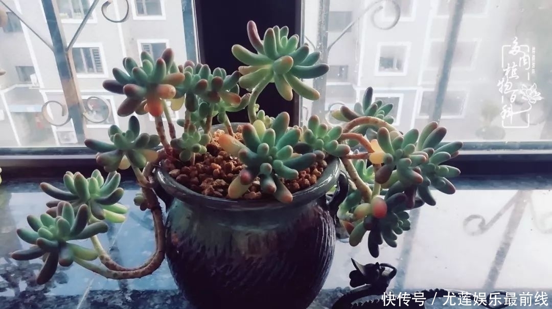 『那种』我爱的,就是你的存在!只要努力该来的都在路上!