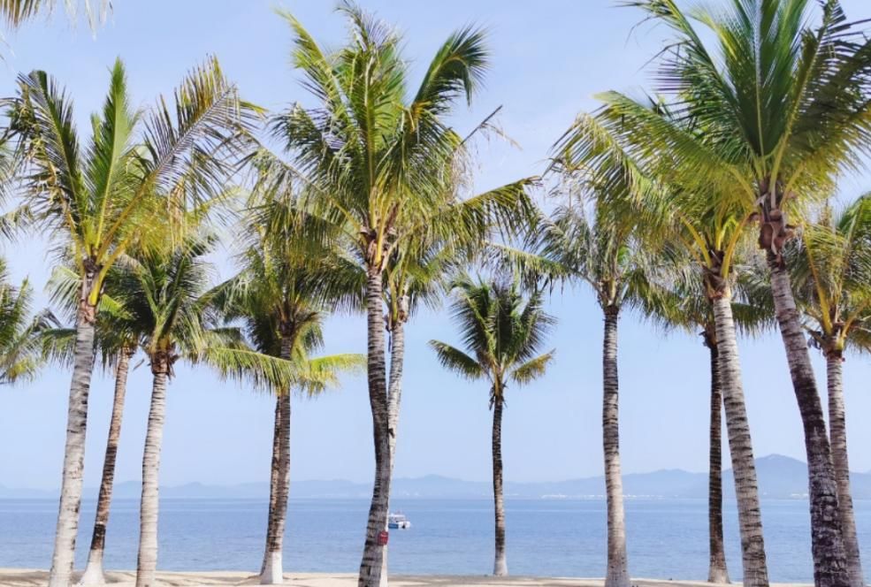 海南这城市风景极佳，有咸咸的海风与海滩，但有一点游客很不满